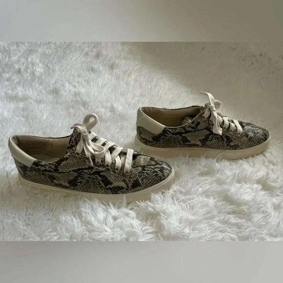 Sam Edelman | Ethyl | Snake Print Sneakers - Picture 2 of 7